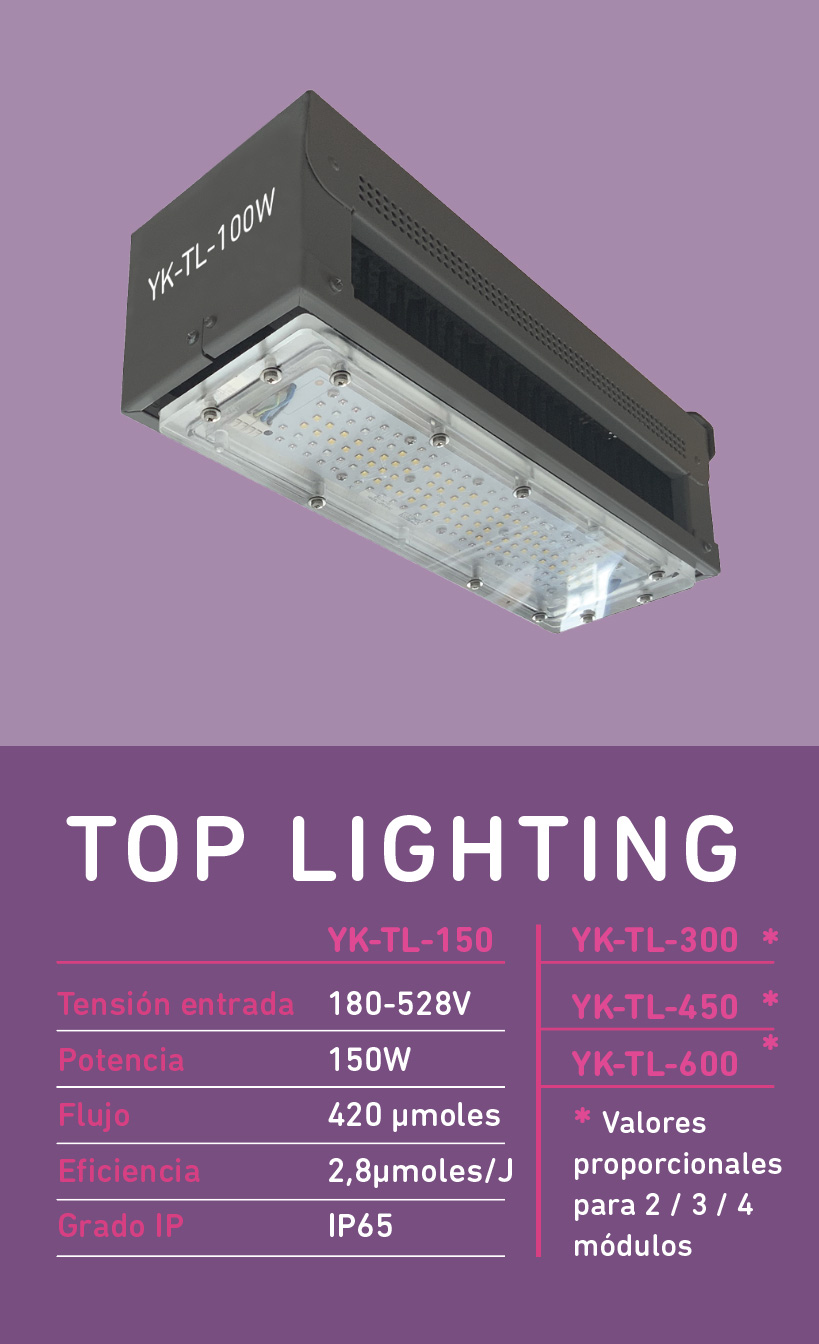 Sistema Interlighting