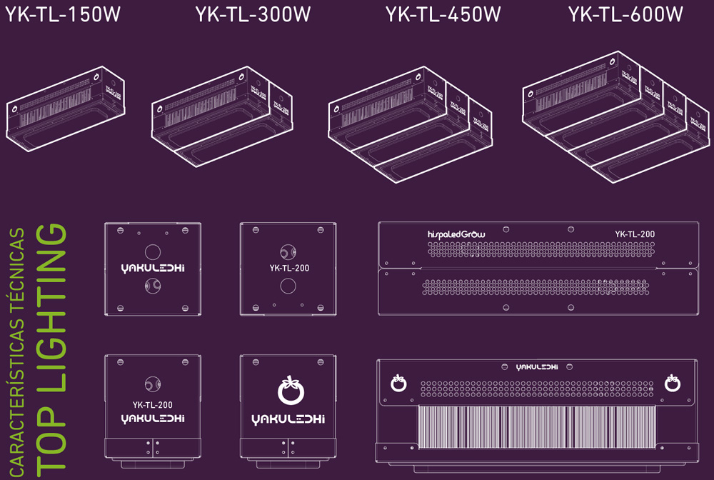 Configuraciones básicas